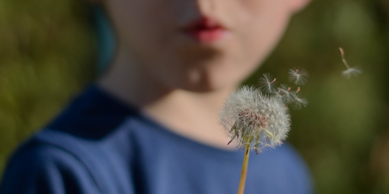 Croisées aujourd’hui (et aussi vite perdues)