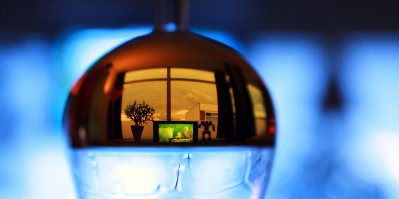 Des zozos mis en cage