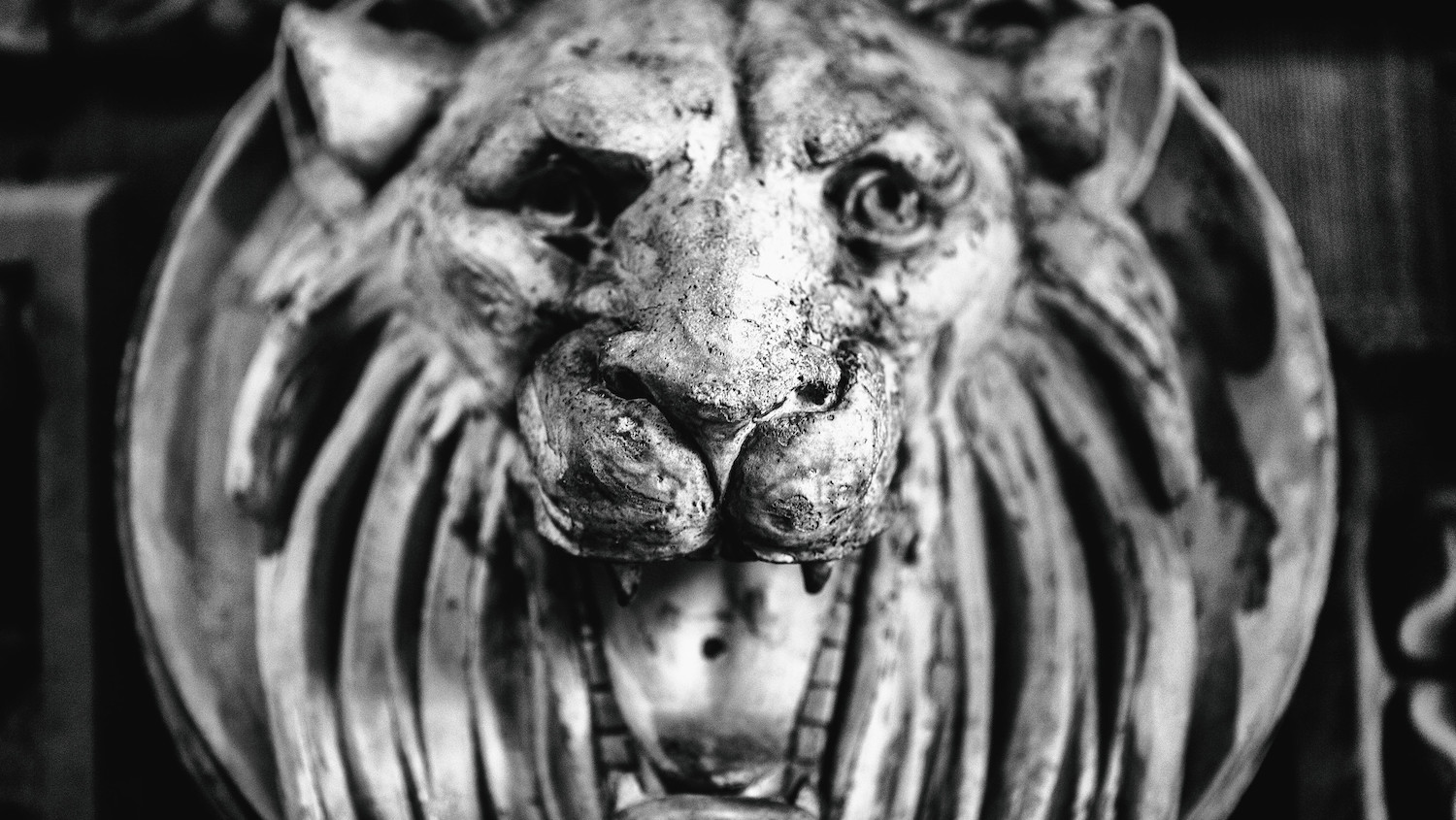 Il reste des chanteurs courageux