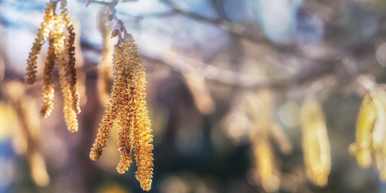Un jour clandestin de printemps