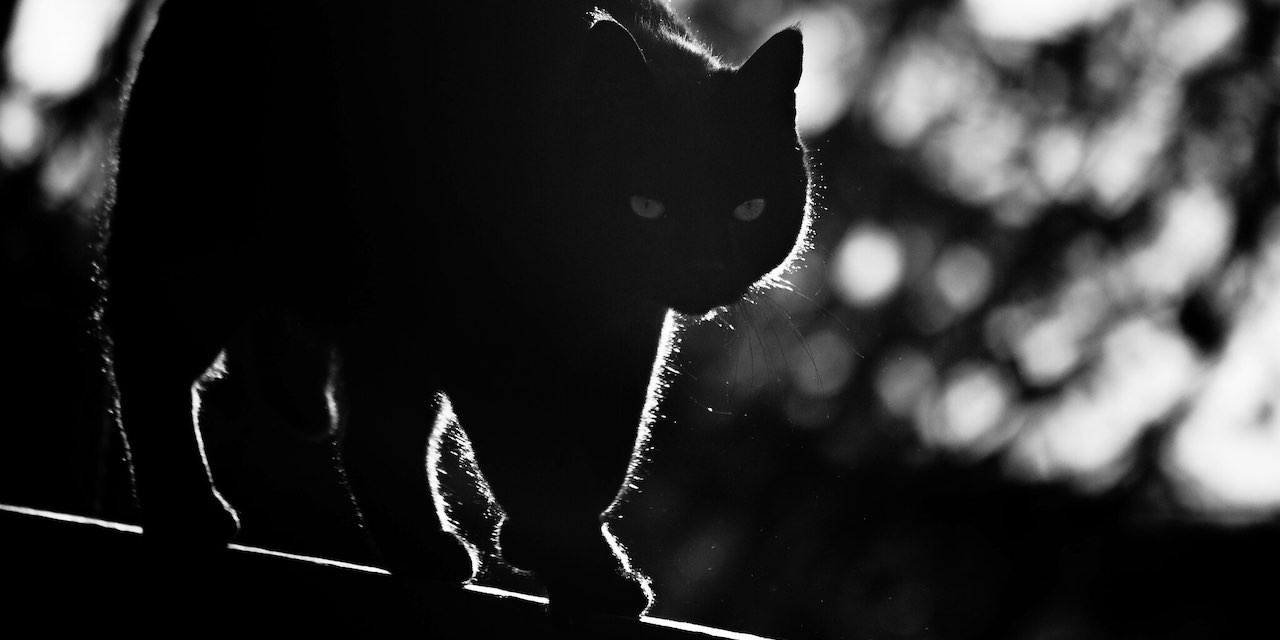 Le pas du chat noir – Anouar Brahem