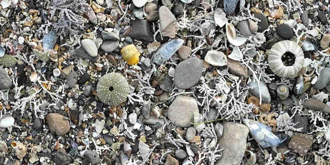 Lire un recueil de poésie